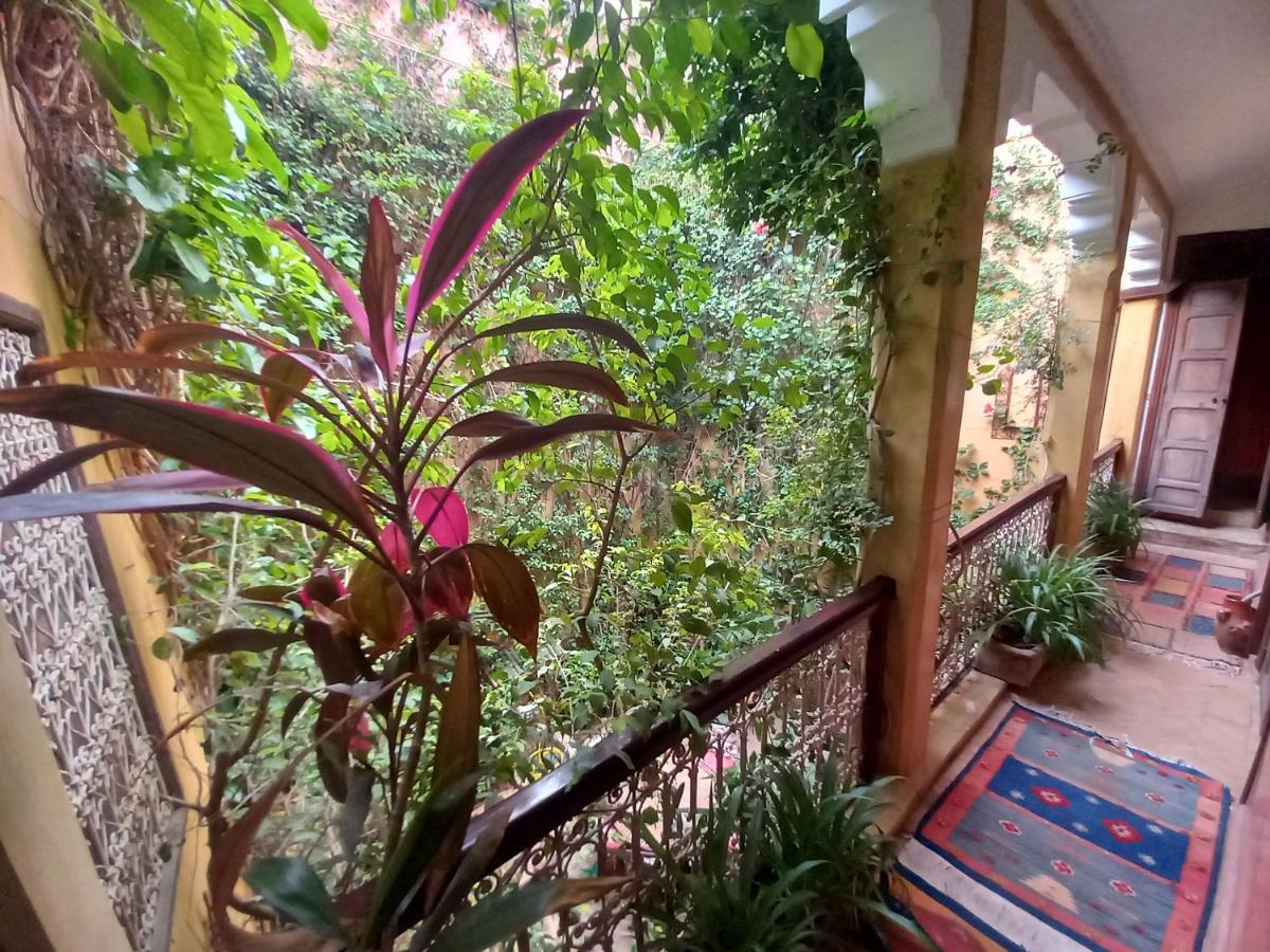 Riad Lumieres Du Sud Marrakesh Eksteriør billede