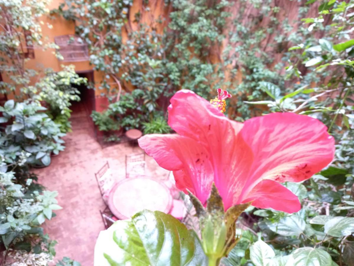 Riad Lumieres Du Sud Marrakesh Eksteriør billede