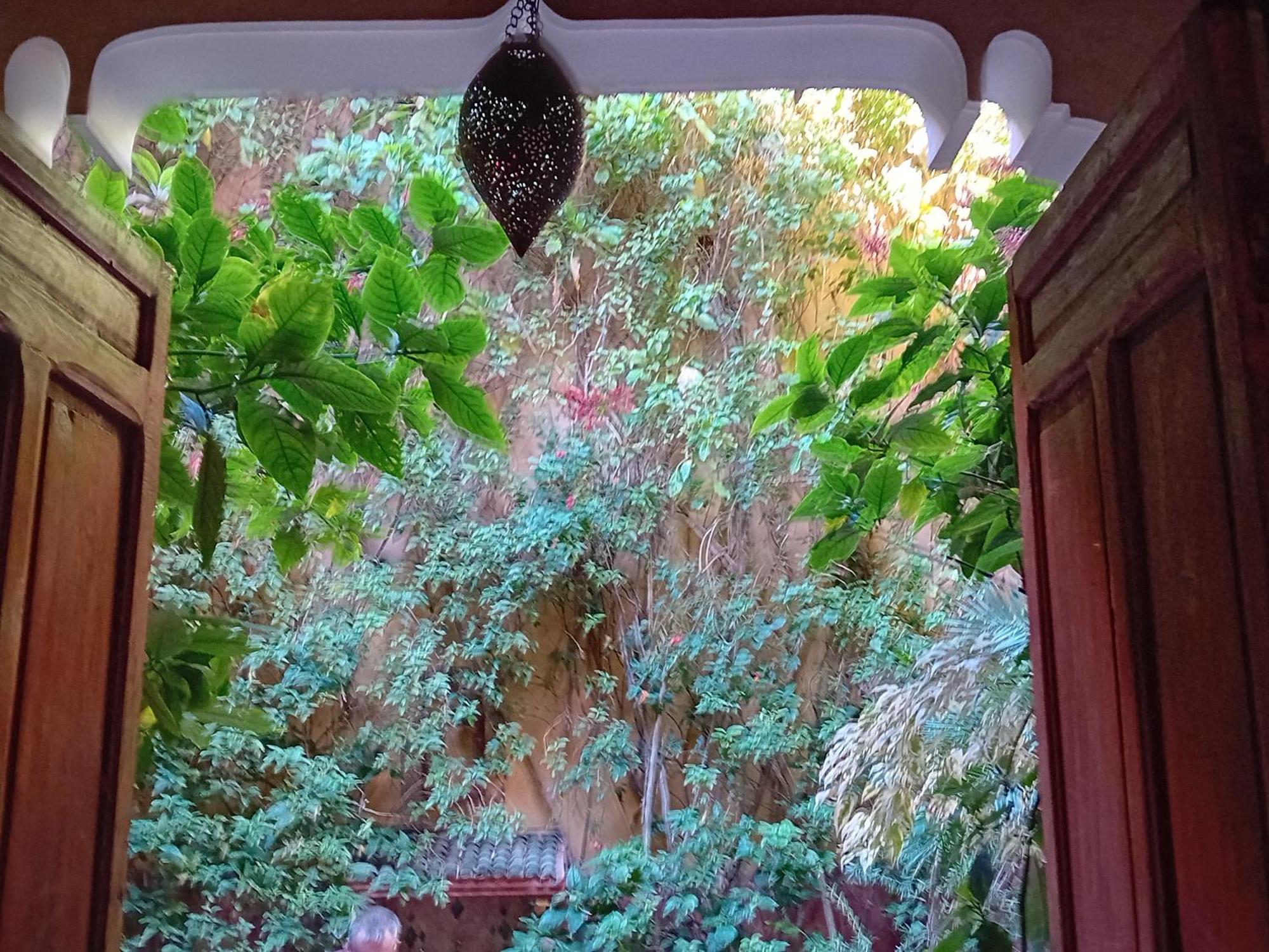 Riad Lumieres Du Sud Marrakesh Eksteriør billede